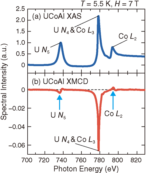 Fig.5-11 Experimental spectra of UCoAl at the U 4d-5f (N4, 5) and Co 2p-3d (L2, 3) absorption edges