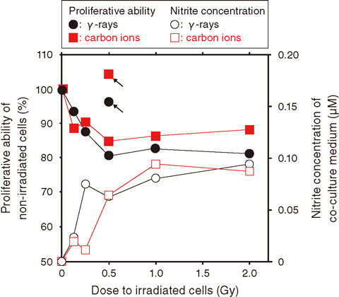 Fig.5-27 Decrease in the proliferative abilities of non-irradiated cells and increase in nitrite concentrations in the co-culture medium