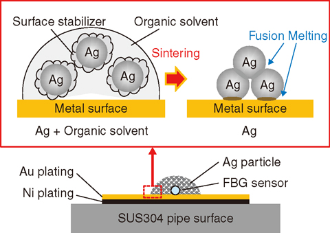 Fig.5-38 Adhesion mechanism for an optical fiber on the surface of a stainless steel plate (nano-sized silver particle adhesive)