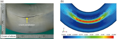 Fig.7-6 Comparison between (a) the test observation at the crown part of the elbow and (b) the analytical result using finite element analysis