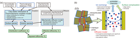 Fig.8-27 Framework and conceptual sketches of the ISD model in compacted bentonite