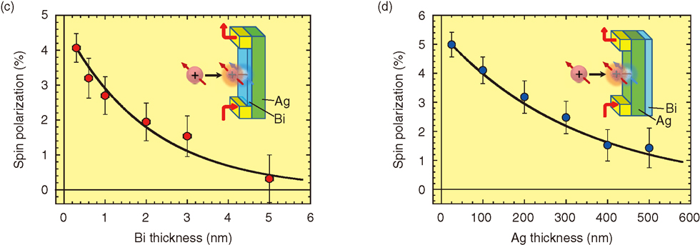 Fig.3-9 Surface spin polarizations observed for (c) Bi and (d) Ag as functions of their thicknesses