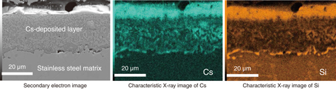 Fig.1-13  Microstructural cross-section of Cs deposited onto stainless steel