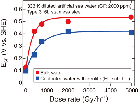 Fig.1-16  The relationship between the dose rate and the spontaneous potential, ESP, of type 316L stainless steel in the bulk water and the system in contact with zeolite