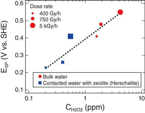 Fig.1-17  The relationship between the spontaneous potential ESP of type 316L and hydrogen peroxide concentration CH2O2 in the bulk water and the water in contact with zeolites under irradiation