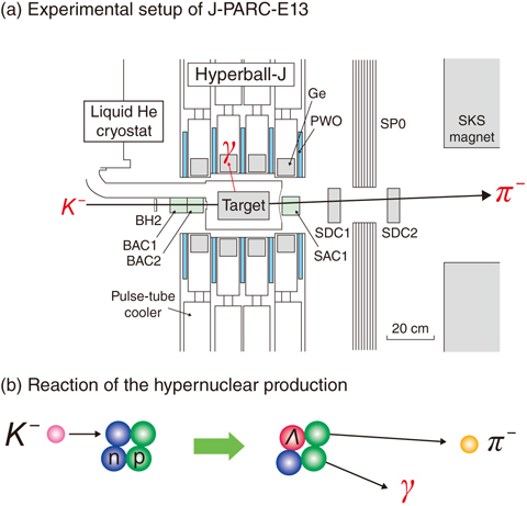 Fig.3-9  (a) Experimental setup of J-PARC-E13 and (b) reaction of the hypernuclear production