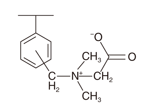 Fig.4-24  Schematic formula of betaine resin, AMP03