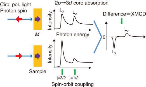 Fig.5-22  XMCD schematics in core-level absorption