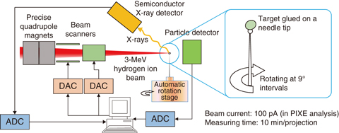 Fig.5-25  Schematic diagram of the PIXE Tomography system