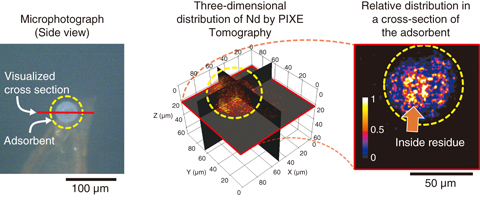 Fig.5-26  Optical micrograph