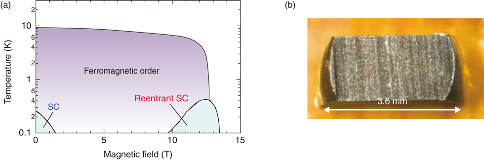 Fig.3-2 Phase diagram of URhGe under a magnetic field and a single crystal prepared for NMR measurements