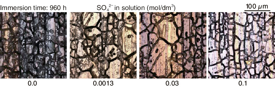 Fig.1-10  Corrosion morphology of SUS316L specimens in HAW with sulfate ions