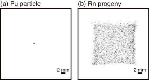 Fig.1-17  Measured 2-dimensional distributions of  particles: Pu sample (a) and Rn progeny (b)
