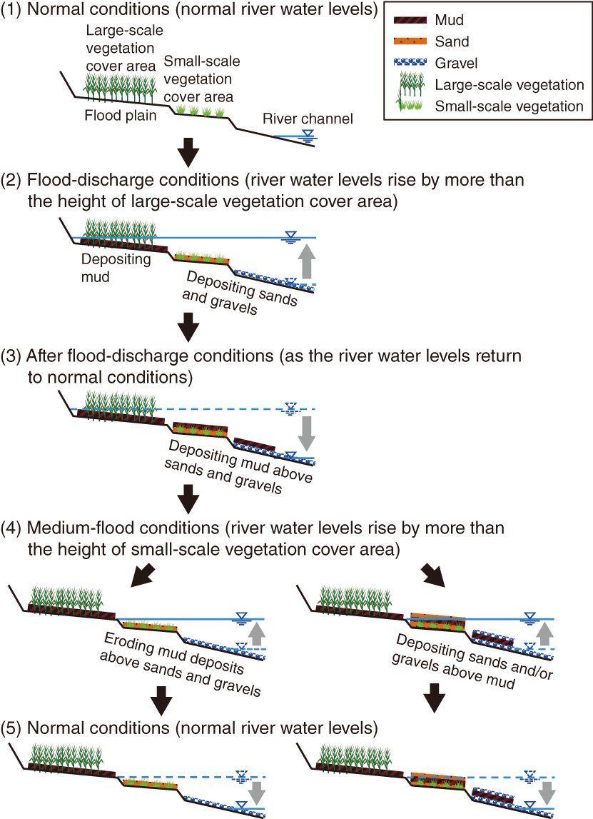 Fig.1-34  Conceptual model for the redeposition and transport mechanisms of radiocesium