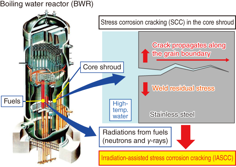 Fig.2-8  Irradiation-assisted stress corrosion cracking (IASCC) in the BWR core shroud