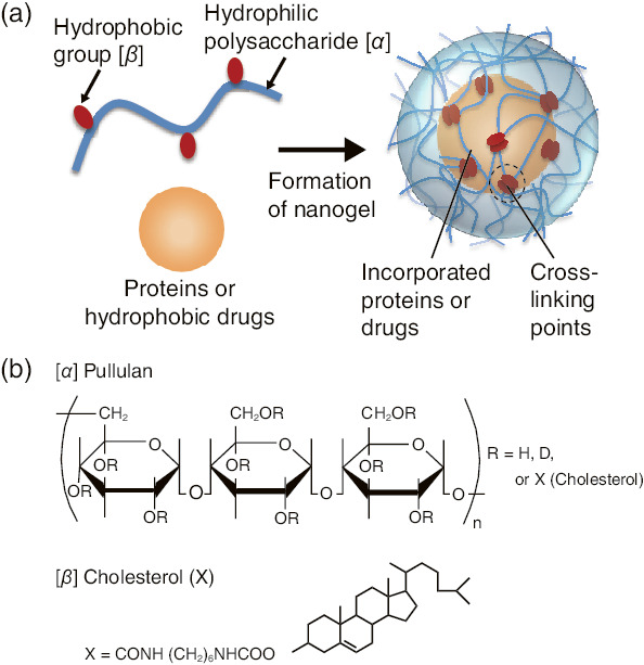 Fig.5-13  Formation of nanogels