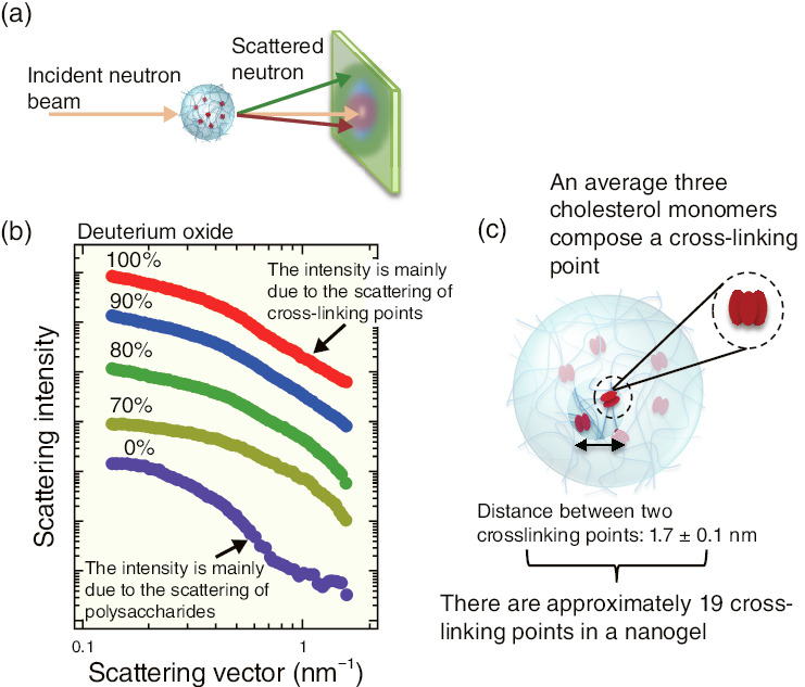 Fig.5-14  Small-angle neutron scattering of nanogels