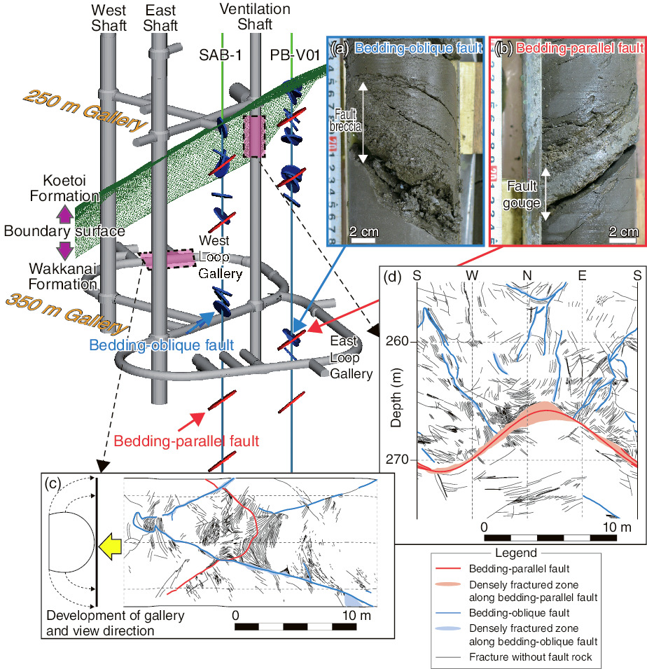 Fig.8-16  Horonobe URL site and faults observed in pilot boreholes SAB-1 and PB-V01