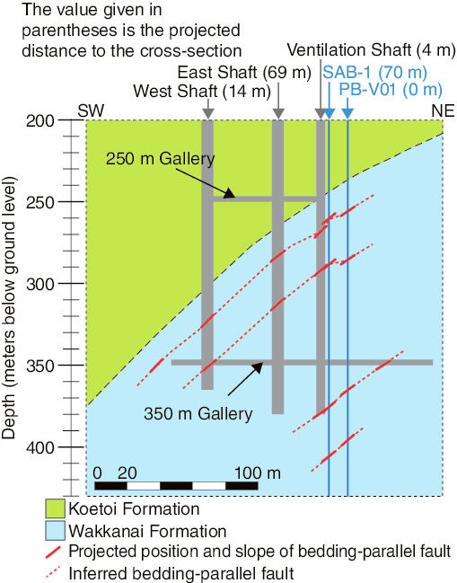 Fig. 8-17  NE-SW trending cross-section of the Horonobe URL