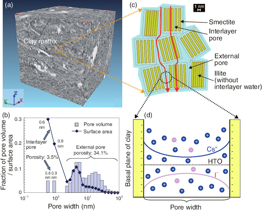 Fig. 8-20  Conceptual images of a clay-based diffusion model