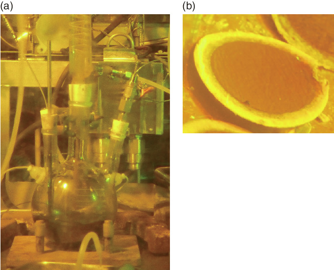 Fig.8-26  (a) Appearance of dissolving fuels and (b) filtrated residues