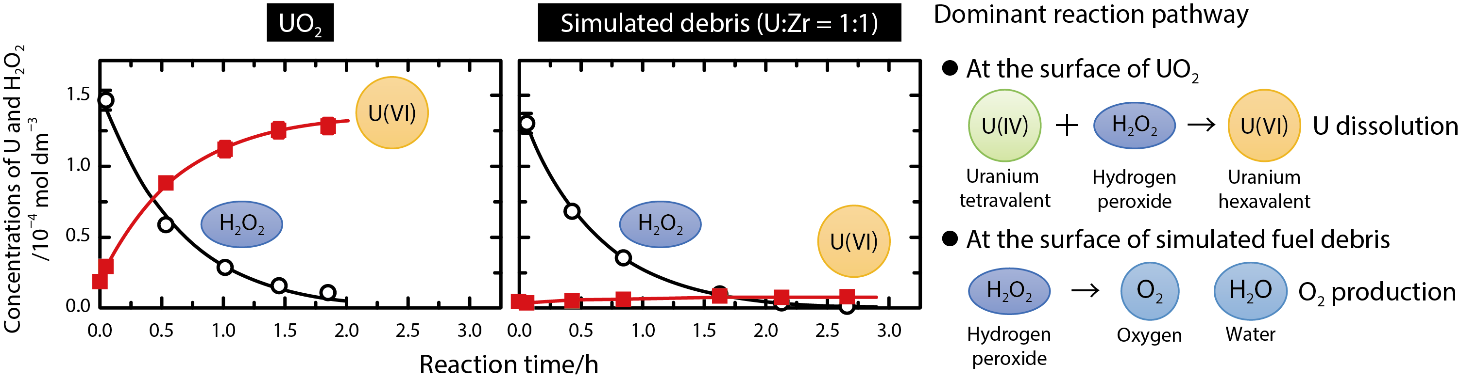 Fig.1-10  Comparison of the H2O2 reaction kinetics between UO2 and the simulated fuel debris