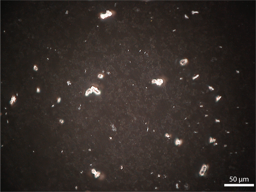 Fig.1-12  Enlarged image of the carbonate slurry sample