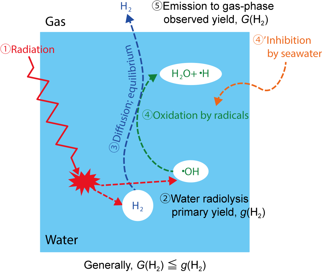 Fig.1-14  Diagram of radiolytic-H2 formation and reaction in water