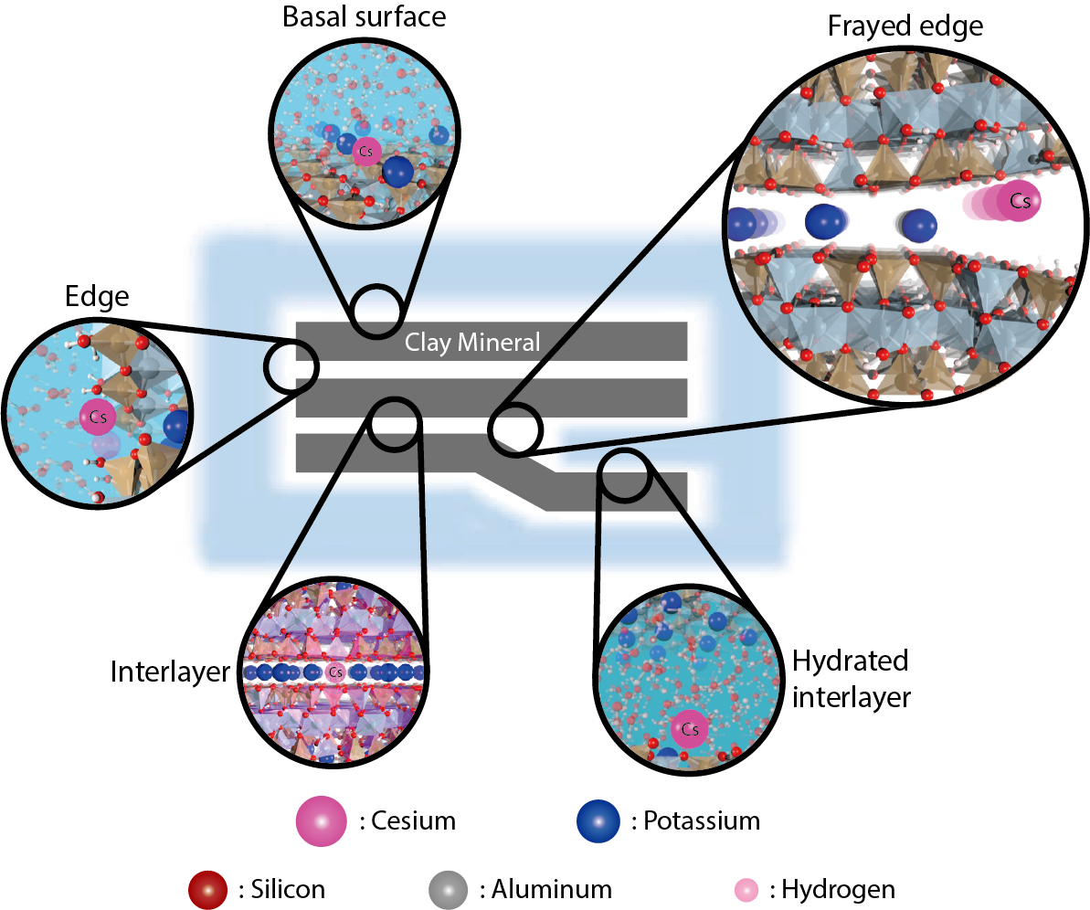 Fig.1-40  Microscopic models of surface structures on clay minerals