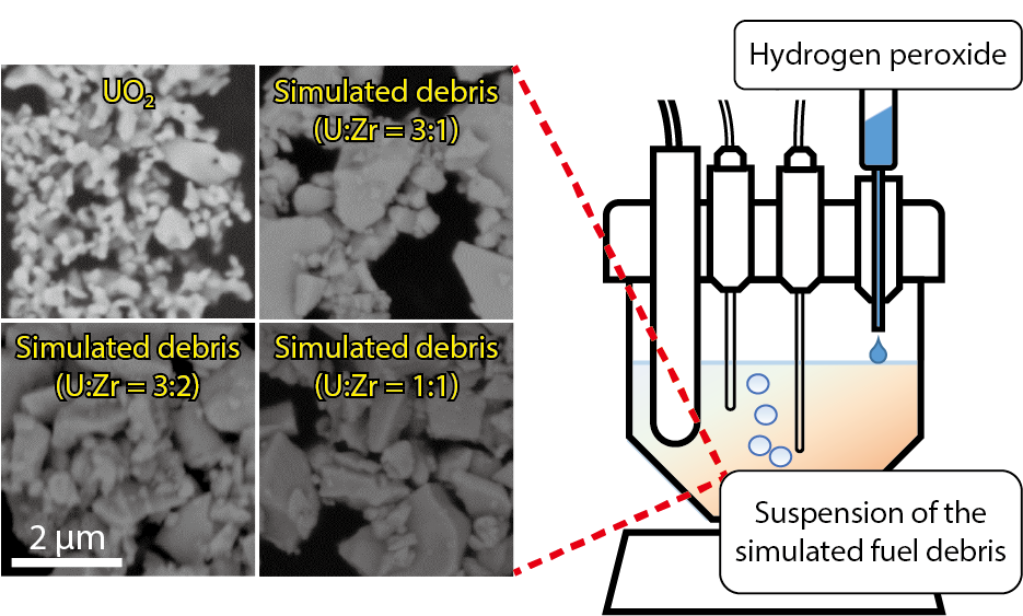 Fig.1-9  Scanning-electron-microscope (SEM) images of the U oxide samples and a schematic illustration of the setup for the H2O2 reaction experiment