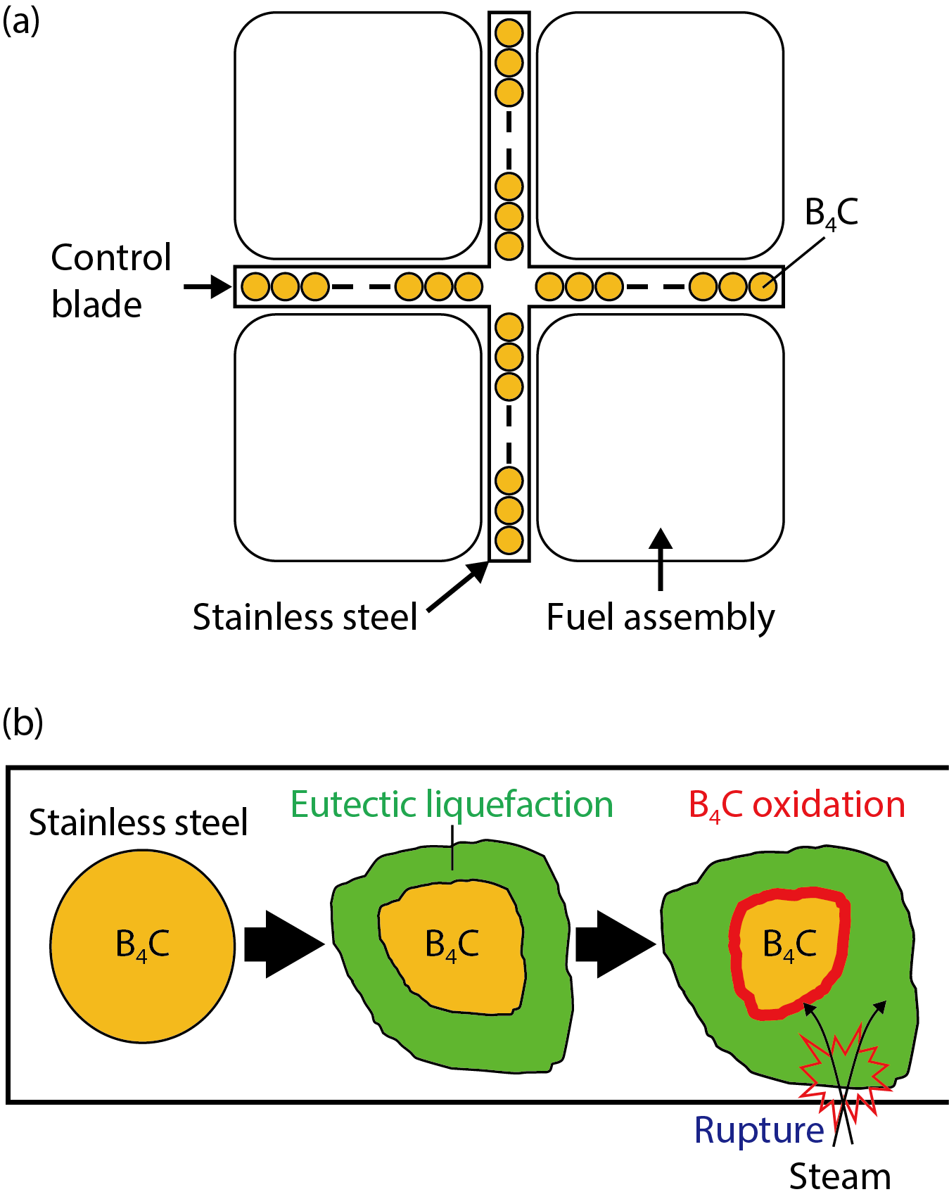 Fig.2-9  Melt progression of BWR control blade