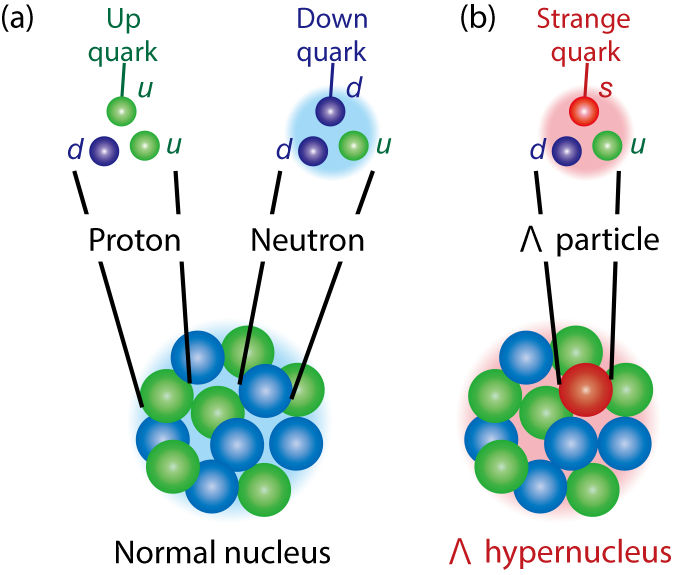 Fig.3-6  Normal nucleus and hypernucleus