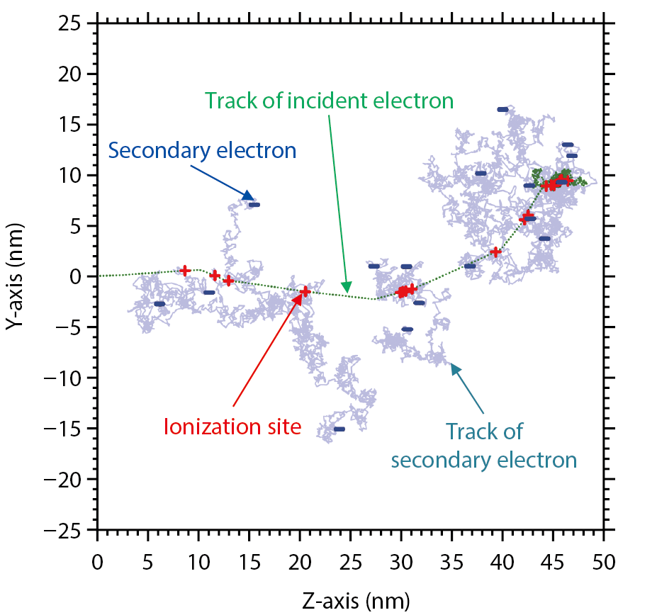 Fig.4-10  Electron tracks produced by an incident electron of 1 keV in water