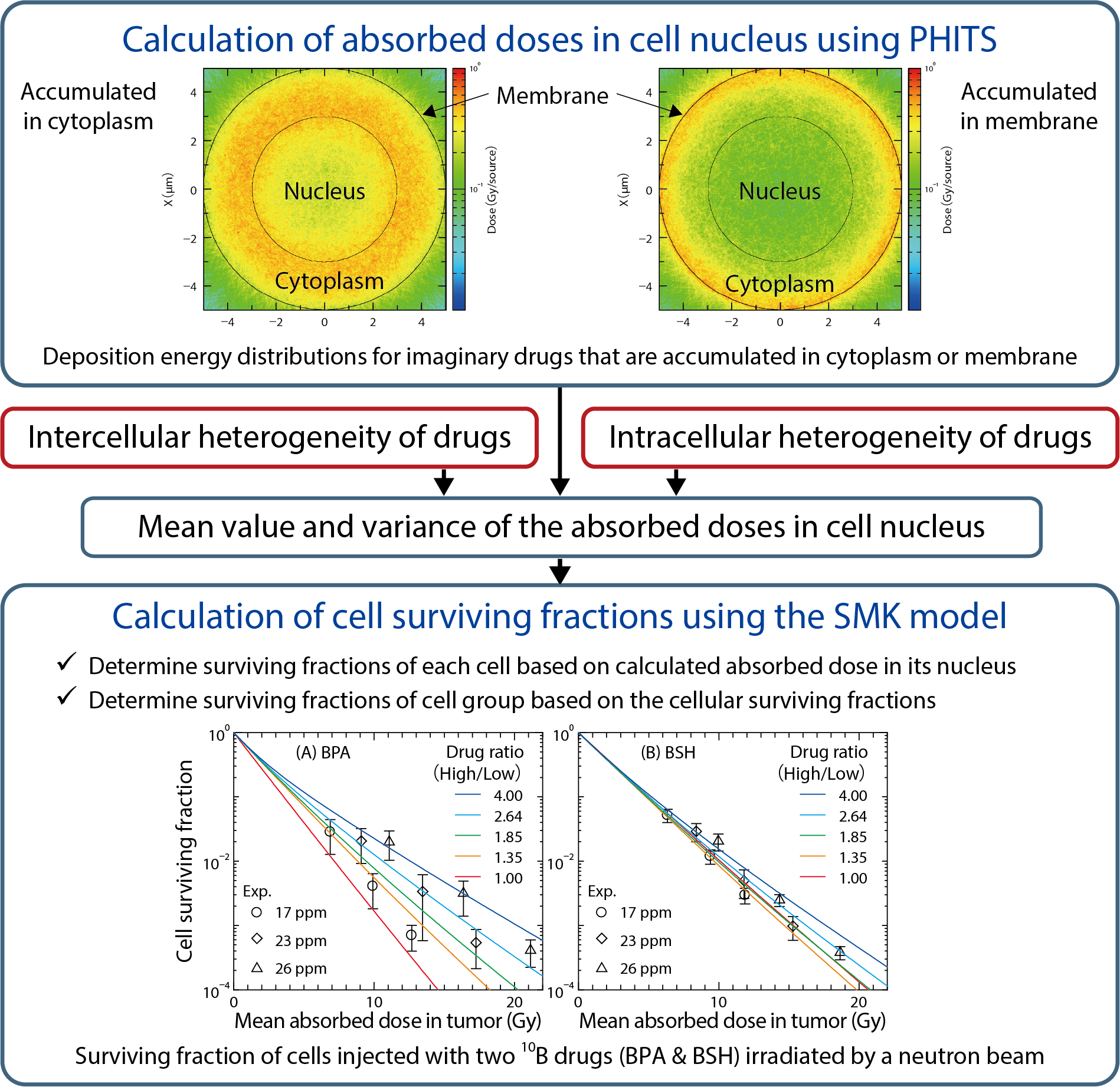 Fig.4-12  Flowchart of our developed model