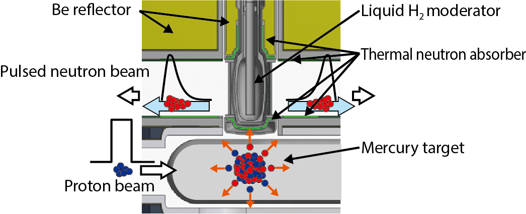 Fig.5-9  Cross section of a spallation neutron source