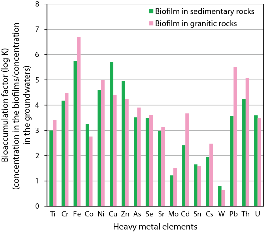 Fig.8-14  Bioaccumulation factor for heavy metals in groundwaters and biofilms