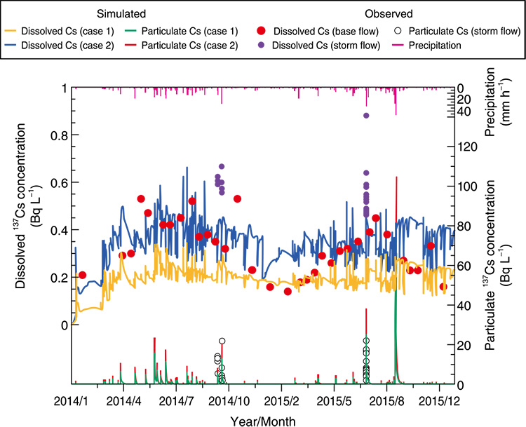 Fig.1-29  Simulated dissolved and particulate 137Cs concentration in river water