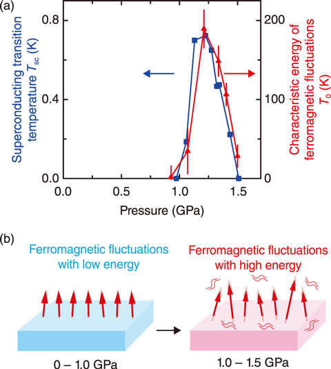 Fig.3-10  Ferromagnetic fluctuations and superconductivity in UGe<sub>2</sub>