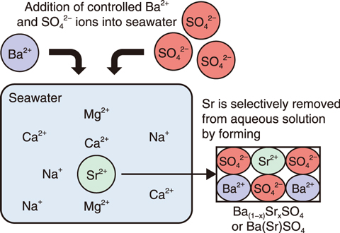 Fig.3-5  Experimental design for removing Sr from seawater by coprecipitation with barite