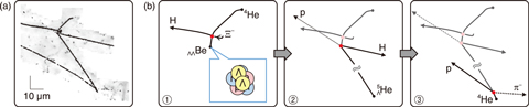 Fig.3-8  MINO event: a typical double Lambda hypernucleus event found in 2018