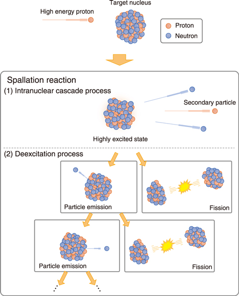 Fig.4-14  Competition between nuclear fission and particle emission in the spallation reaction