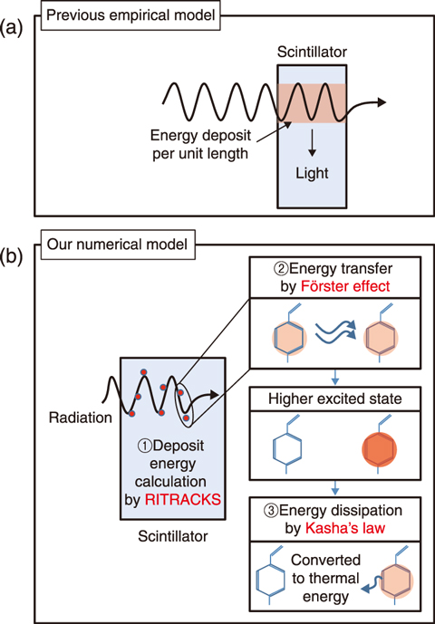 a) Schematic of PFM detection. (b) Surface morphology