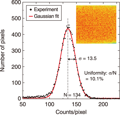 Fig.5-8  Spatial homogeneity of the detector element measured using neutrons