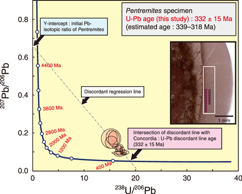 Fig.8-20  The dating result of Pentremites sample (Concordia plot)