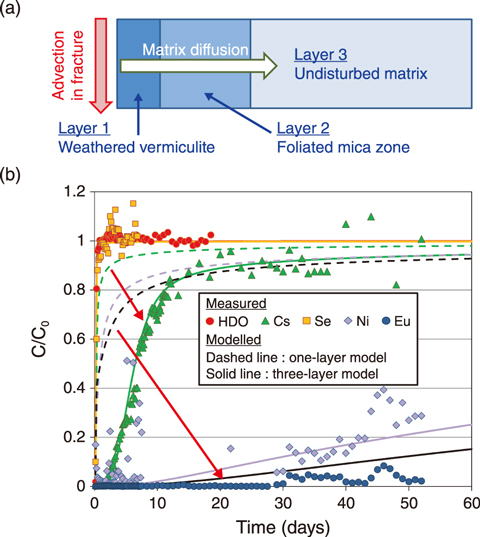 Fig.8-26  Measured and modeled breakthrough curves