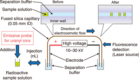 Fig.8-4  A simple analytical method with capillary electrophoresis