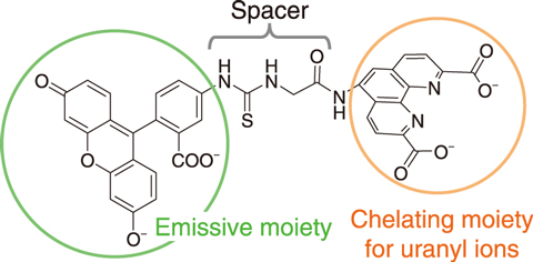 Fig.8-5  Emissive probe L for uranyl ions