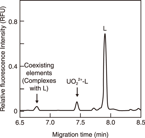 Fig.8-6  Typical electropherogram of a uranyl complex with probe L