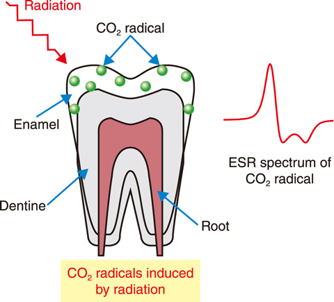 Fig.4-9