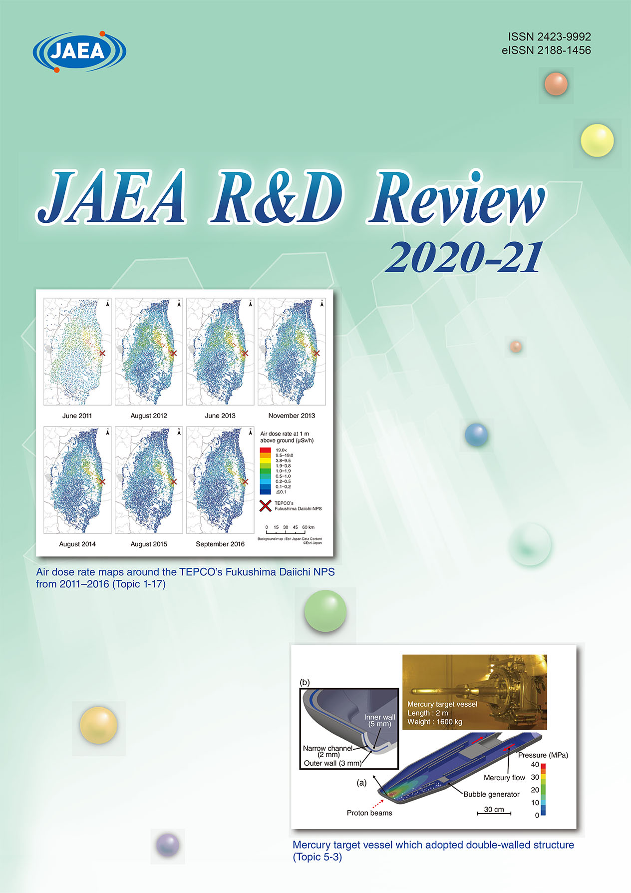 JAEA Review 2020